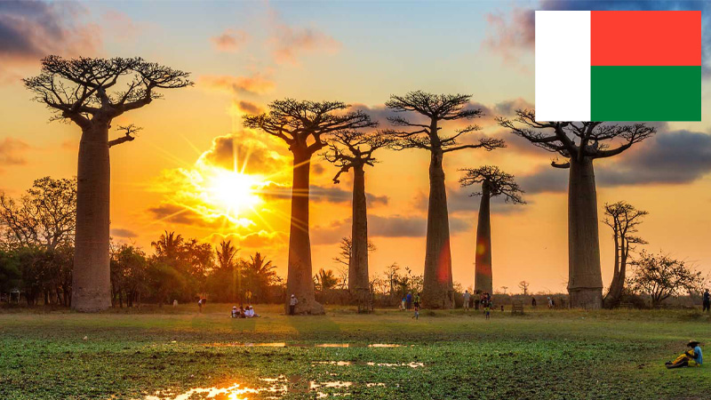 Steady growth of Madagascar insurance market
